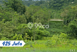 Lahan Dijual Lokasi Karangpandan, Karanganyar dengan Luas Tanah 2850m2 dan Status SHM Lahan Dijual Lokasi Karangpandan, Karanganyar dengan Luas Tanah 2850m2 dan Status SHM