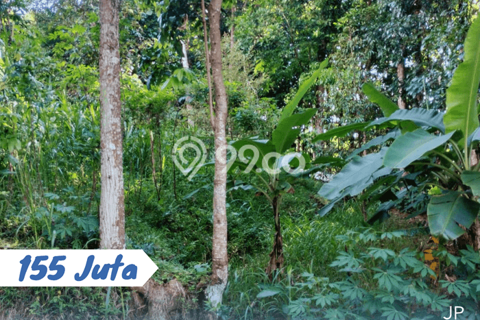 Tanah di Matesih, Karanganyar Luas 475m2 Dijual Segera Tanah di Matesih, Karanganyar Luas 475m2 Dijual Segera