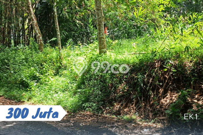 Lahan untuk Dijual di Ngargoyoso Karanganyar Luas 1500m2 Lahan untuk Dijual di Ngargoyoso Karanganyar Luas 1500m2