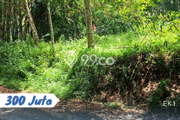 Lahan Investasi Lokasi Ngargoyoso Karanganyar SHM Lahan Investasi Lokasi Ngargoyoso Karanganyar SHM