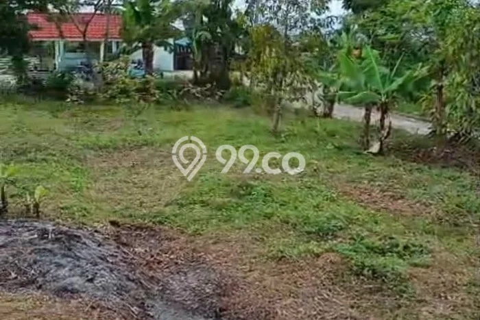 Tanah Kosong Dijual di Karanganyar dengan Area 4135m2 Tanah Kosong Dijual di Karanganyar dengan Area 4135m2