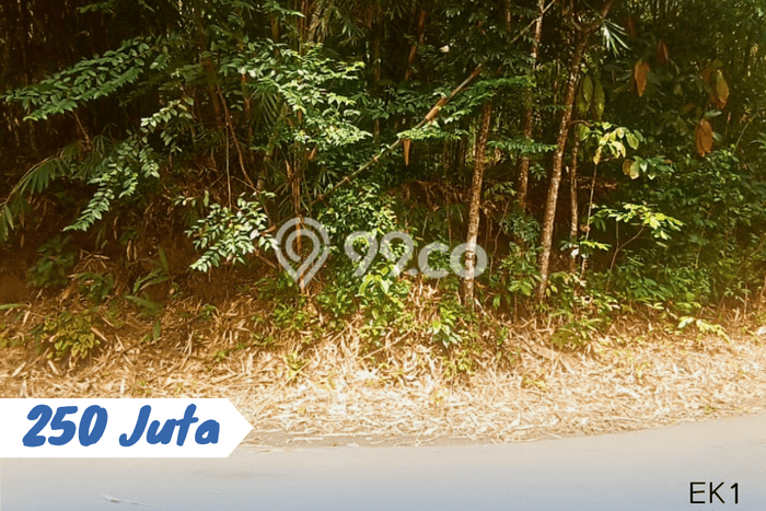Lahan untuk Dijual di Ngargoyoso Karanganyar Luas 1500m2 Lahan untuk Dijual di Ngargoyoso Karanganyar Luas 1500m2