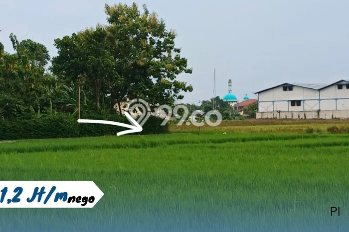 Lahan Investasi Lokasi Kebakkramat Karanganyar SHM Lahan Investasi Lokasi Kebakkramat Karanganyar SHM