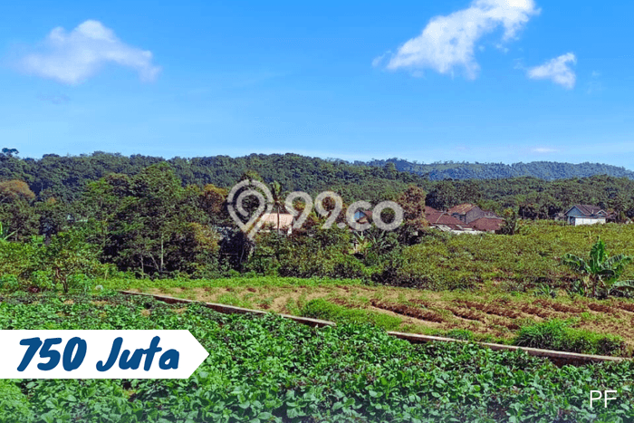 Lahan Dijual Lokasi Ngargoyoso, Karanganyar dengan Luas Tanah 1800m2 dan Status SHM Lahan Dijual Lokasi Ngargoyoso, Karanganyar dengan Luas Tanah 1800m2 dan Status SHM