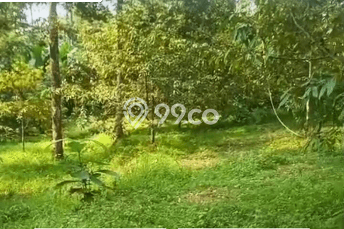Lahan Kosong Dijual di Karanganyar dengan Area 1983m2 Lahan Kosong Dijual di Karanganyar dengan Area 1983m2
