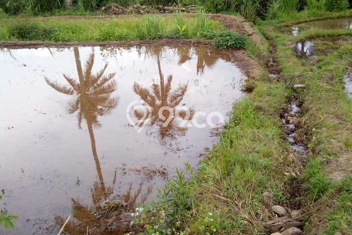 Untuk Dijual Tanah di Cisaat Sukabumi Luas 411m2 SHM Untuk Dijual Tanah di Cisaat Sukabumi Luas 411m2 SHM