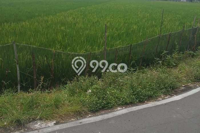 Tanah Kavling di Jaten Dijual dengan Luas 960m2 Tanah Kavling di Jaten Dijual dengan Luas 960m2