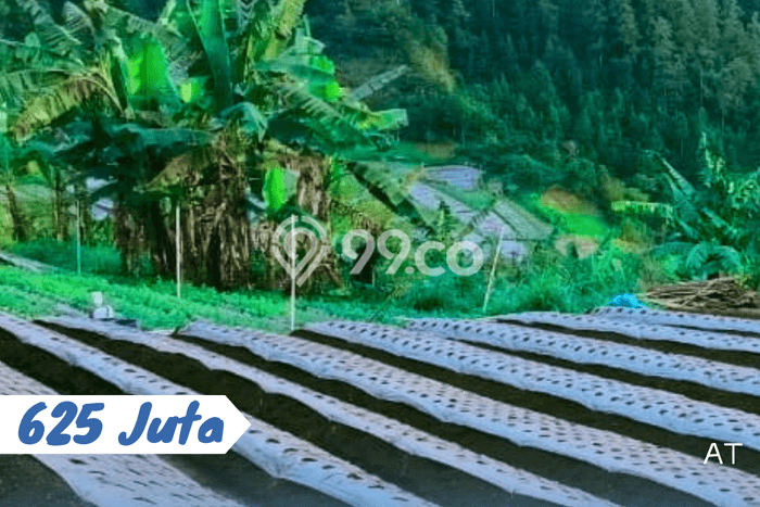 Untuk Dijual Tanah di Tawangmangu Karanganyar Luas 700m2 SHM Untuk Dijual Tanah di Tawangmangu Karanganyar Luas 700m2 SHM