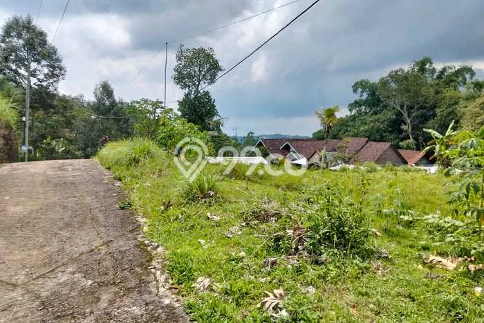 Tanah untuk Dijual Lokasi Karangpandan, Karanganyar Luas 1175m2 SHM Tanah untuk Dijual Lokasi Karangpandan, Karanganyar Luas 1175m2 SHM