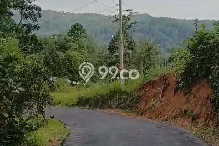 Dijual Tanah di Karangpandan Karanganyar Luas 3800m2 SHM Dijual Tanah di Karangpandan Karanganyar Luas 3800m2 SHM