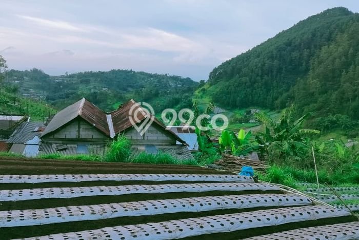 Untuk Dijual Tanah di Tawangmangu Karanganyar Luas 700m2 SHM Untuk Dijual Tanah di Tawangmangu Karanganyar Luas 700m2 SHM