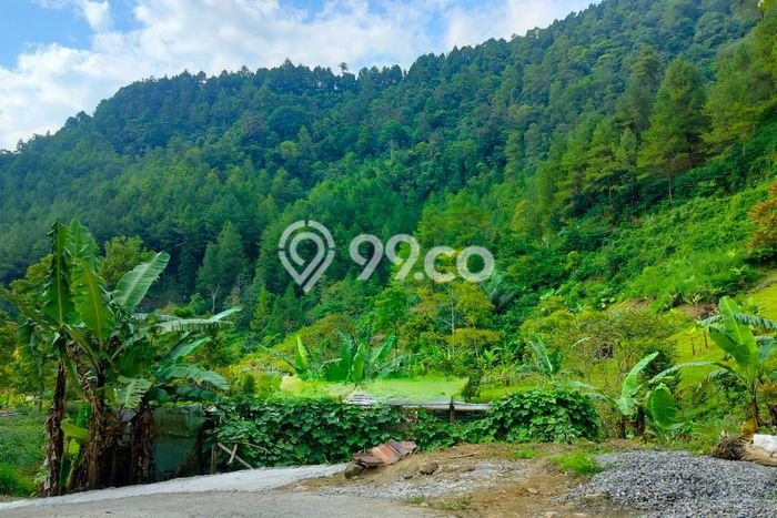 Lahan Kosong Dijual di Karanganyar dengan Area 280m2 Lahan Kosong Dijual di Karanganyar dengan Area 280m2