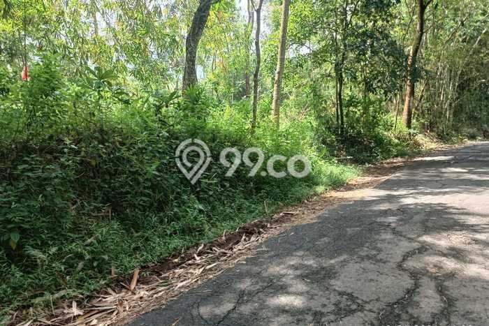 Lahan untuk Dijual di Ngargoyoso Karanganyar Luas 1500m2 Lahan untuk Dijual di Ngargoyoso Karanganyar Luas 1500m2
