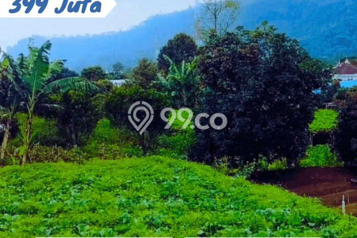 Lahan Investasi Lokasi Ngargoyoso Karanganyar SHM Lahan Investasi Lokasi Ngargoyoso Karanganyar SHM