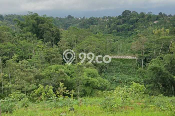 Tanah untuk Dijual Lokasi Karangpandan, Karanganyar Luas 2850m2 SHM Tanah untuk Dijual Lokasi Karangpandan, Karanganyar Luas 2850m2 SHM