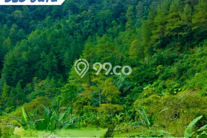 Lahan Kosong Dijual di Karanganyar dengan Area 280m2 Lahan Kosong Dijual di Karanganyar dengan Area 280m2