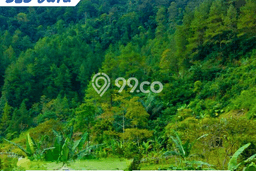 Lahan Kosong Dijual di Karanganyar dengan Area 280m2 Lahan Kosong Dijual di Karanganyar dengan Area 280m2