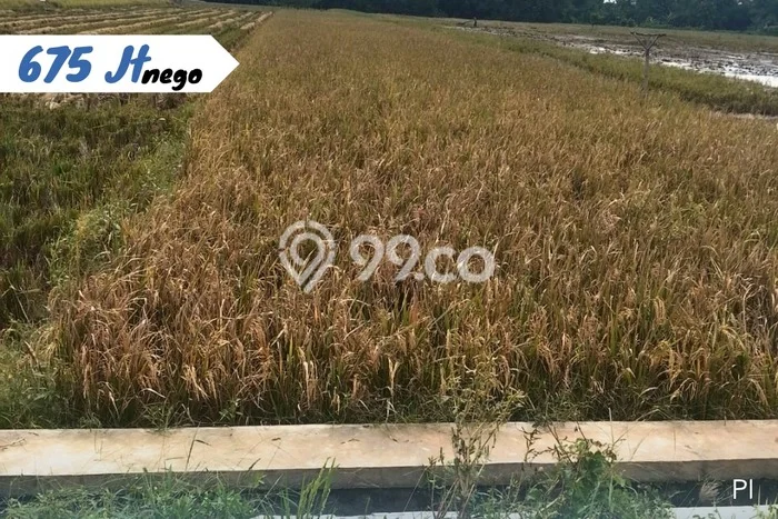 Tanah Kavling di Kebakkramat Dijual dengan Luas 1640m2 Tanah Kavling di Kebakkramat Dijual dengan Luas 1640m2