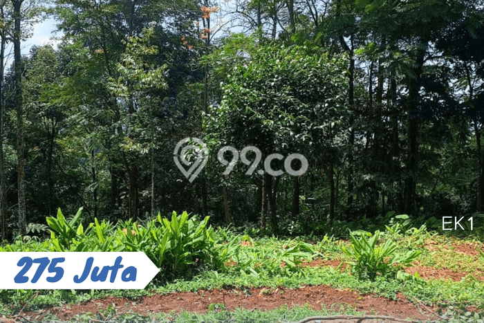 Jarang Ada! Tanah di Ngargoyoso Punya Luas 1200m2 SHM Jarang Ada! Tanah di Ngargoyoso Punya Luas 1200m2 SHM
