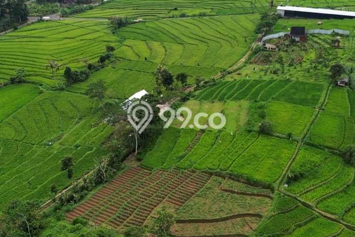 Tanah Kavling untuk Dijual di Karangpandan Karanganyar 5500m2 Tanah Kavling untuk Dijual di Karangpandan Karanganyar 5500m2