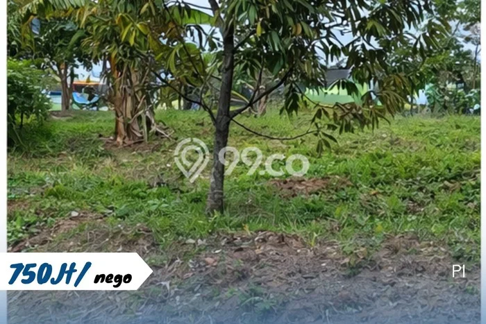 Tanah Kosong Dijual di Karanganyar dengan Area 4135m2 Tanah Kosong Dijual di Karanganyar dengan Area 4135m2