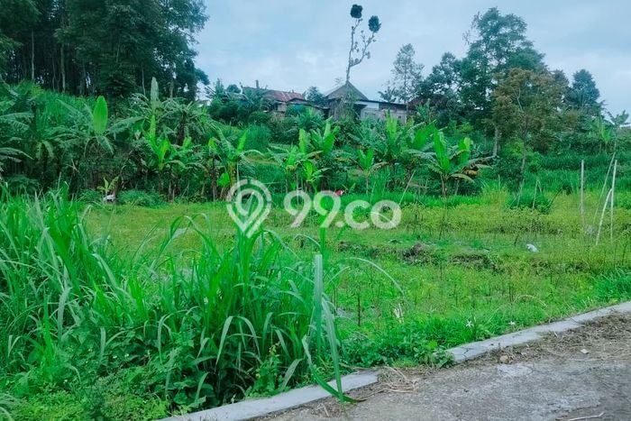 Tanah Komersial Dijual di Ngargoyoso Karanganyar 1600m2 Tanah Komersial Dijual di Ngargoyoso Karanganyar 1600m2