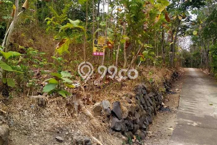 Tanah Strategis Dijual di Kedawung Sragen 335m2 Tanah Strategis Dijual di Kedawung Sragen 335m2
