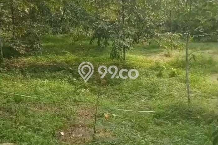 Lahan Kosong Dijual di Karanganyar dengan Area 1983m2 Lahan Kosong Dijual di Karanganyar dengan Area 1983m2