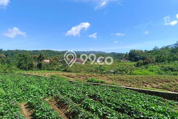 Lahan Dijual Lokasi Ngargoyoso, Karanganyar dengan Luas Tanah 1800m2 dan Status SHM Lahan Dijual Lokasi Ngargoyoso, Karanganyar dengan Luas Tanah 1800m2 dan Status SHM