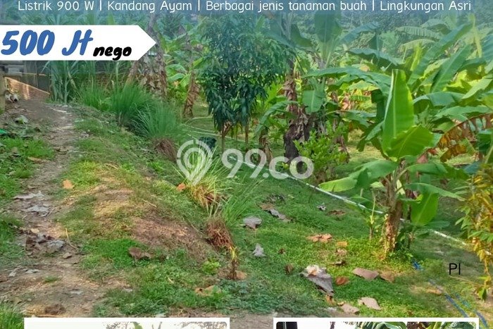 Lahan Investasi Lokasi Kebakkramat Karanganyar SHM Lahan Investasi Lokasi Kebakkramat Karanganyar SHM