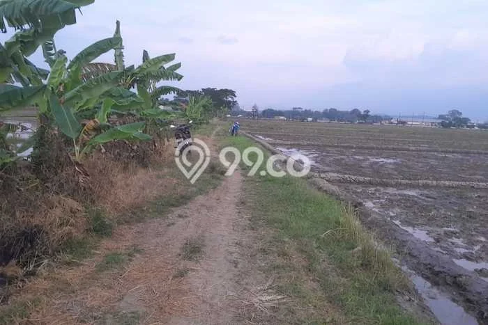 Kavling Tanah Dijual di Masaran Sragen Spesifikasi 900m2 Kavling Tanah Dijual di Masaran Sragen Spesifikasi 900m2
