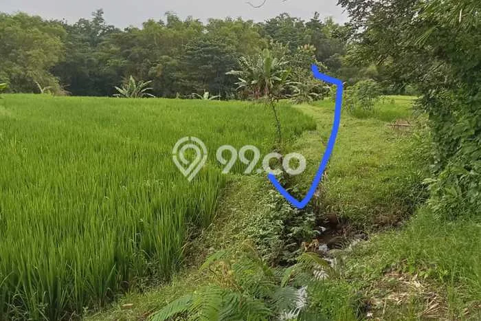 Lahan Strategis di Kebakkramat Dijual dengan Luas 1361m2 Lahan Strategis di Kebakkramat Dijual dengan Luas 1361m2