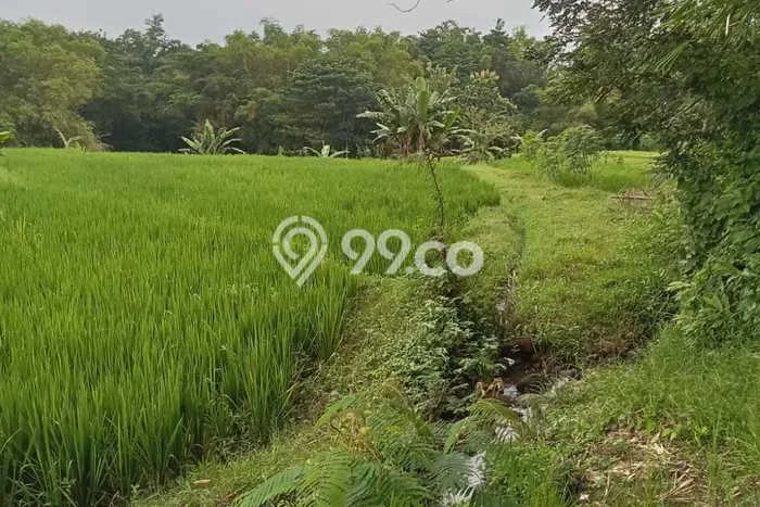 Lahan Strategis di Kebakkramat Dijual dengan Luas 1361m2 Lahan Strategis di Kebakkramat Dijual dengan Luas 1361m2