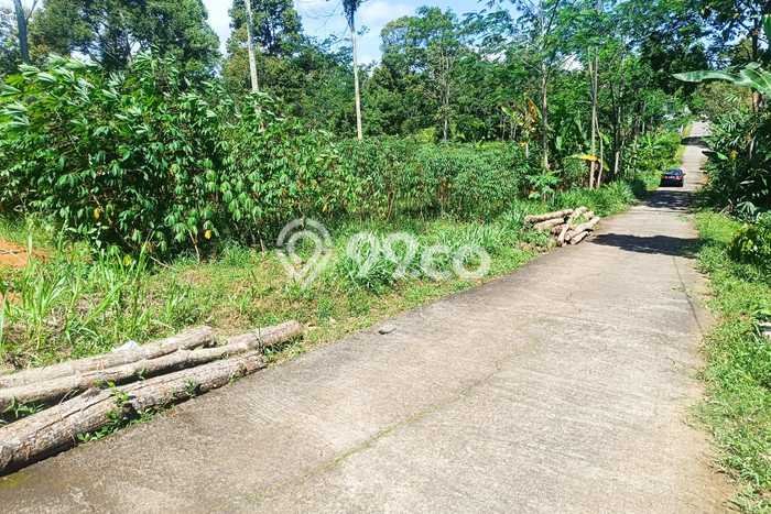 Tanah Kavling di Karangpandan Dijual dengan Luas 1900m2 Tanah Kavling di Karangpandan Dijual dengan Luas 1900m2