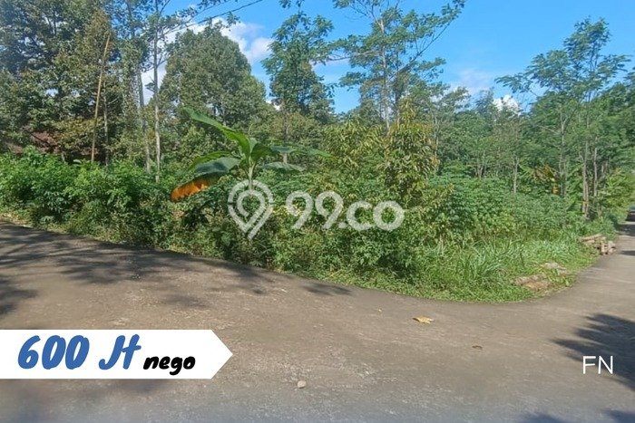 Tanah Kavling di Karangpandan Dijual dengan Luas 1900m2 Tanah Kavling di Karangpandan Dijual dengan Luas 1900m2