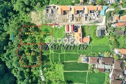Tanah Kavling di Ubud Dijual dengan Luas 2163m2 Tanah Kavling di Ubud Dijual dengan Luas 2163m2