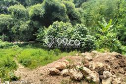 Kavling Tanah untuk Dijual di Nusa Dua, Badung, Luas 472m2 Kavling Tanah untuk Dijual di Nusa Dua, Badung, Luas 472m2