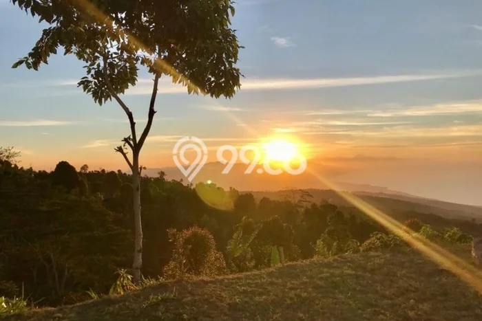 For Sale This Stunning Sunset Ocean Views Land Lssu For Sale This Stunning Sunset Ocean Views Land Lssu