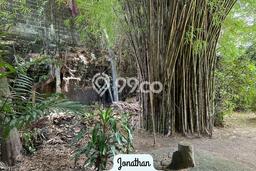 Prime Land In Kerobokan, Just 8 Minutes To Canggu Prime Land In Kerobokan, Just 8 Minutes To Canggu