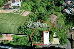 Dijual Tanah Lokasi canggu, Badung Seluas 250m2 Dijual Tanah Lokasi canggu, Badung Seluas 250m2