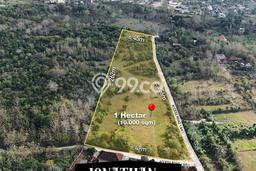 Dijual Tanah 10000m2 di Ungasan, Badung Dijual Tanah 10000m2 di Ungasan, Badung