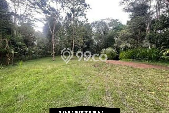 Tanah Dijual di Gianyar Seluas 9330m2 Strategis Tanah Dijual di Gianyar Seluas 9330m2 Strategis