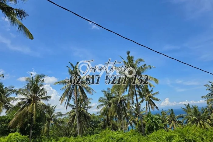 Tanah Kavling Dijual di Lombok Barat dengan Spesifikasi 1489m2 Tanah Kavling Dijual di Lombok Barat dengan Spesifikasi 1489m2