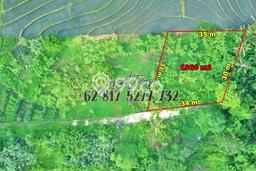 Tanah untuk Dijual di Tabanan Tabanan Luas 1060m2 Tanah untuk Dijual di Tabanan Tabanan Luas 1060m2