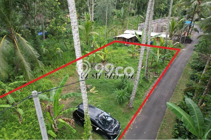 Tanah Dijual Lokasi Strategis di Tabanan dengan Luas 200m2 Tanah Dijual Lokasi Strategis di Tabanan dengan Luas 200m2