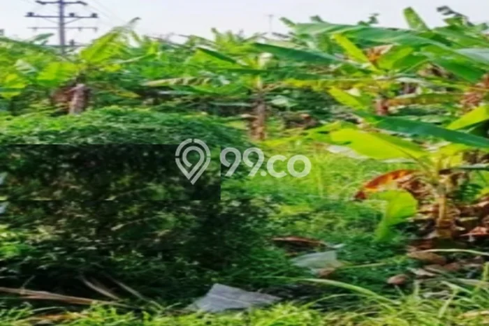 Kavling Tanah di Tlogomulyo Dijual Luas 422m2 Legalitas - Kavling Tanah di Tlogomulyo Dijual Luas 422m2 Legalitas -