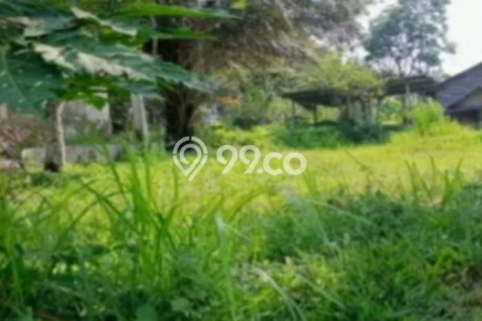 Tanah Dijual Lokasi Kedu, Temanggung dengan Luas Tanah 1350m2 dan Status SHM Tanah Dijual Lokasi Kedu, Temanggung dengan Luas Tanah 1350m2 dan Status SHM