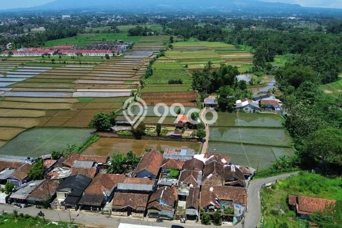 Kavling Tanah di Kebonpedes Dijual Luas 3388m2 Legalitas SHM Kavling Tanah di Kebonpedes Dijual Luas 3388m2 Legalitas SHM