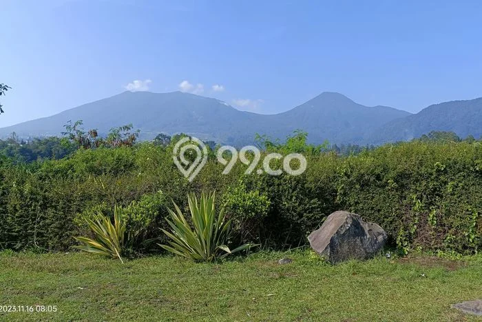 Tanah Dijual Lokasi Cipanas, Cianjur dengan Luas Tanah 6515m2 dan Status SHM Tanah Dijual Lokasi Cipanas, Cianjur dengan Luas Tanah 6515m2 dan Status SHM