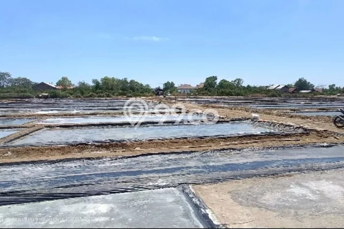 Tanah Dijual Lokasi Losarang, Indramayu Luas 110000m2 Legalitas Aman Tanah Dijual Lokasi Losarang, Indramayu Luas 110000m2 Legalitas Aman